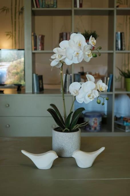 Apartment With Garden In Thessaloniki. Extérieur photo